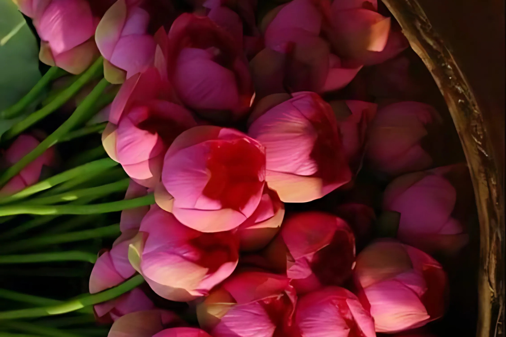 Festival Floral Arrangement